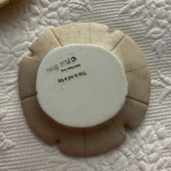 Sand Dollars  and shell Decor Set - Picture 5 of 11